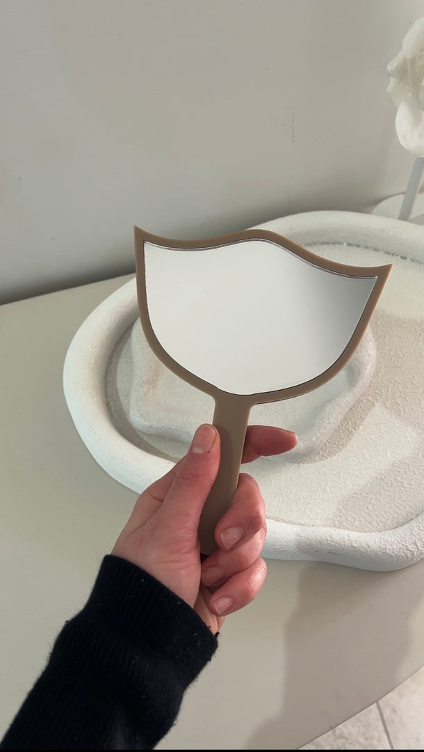 Mirror / face shield